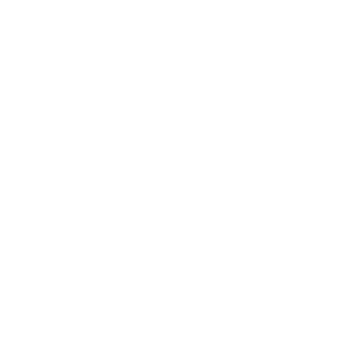 SPE - LOGO BRANCO